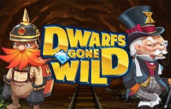Dwarfs Gone Wild Automat do gry