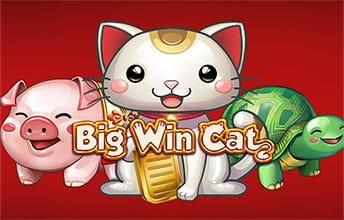 Big Win Cat игровой автомат