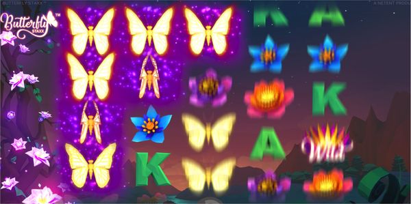 Discover the Butterfly Staxx Paytable