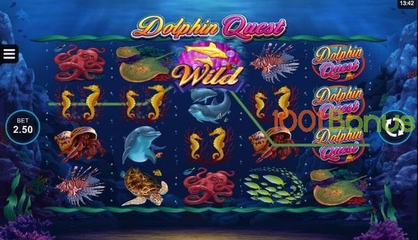 Regler för Dolphin Quest
