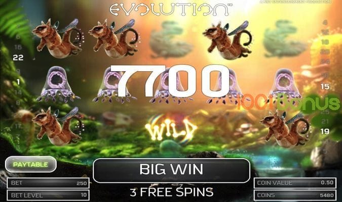 How to play the Evolution slot machine