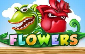 Flowers casino offers