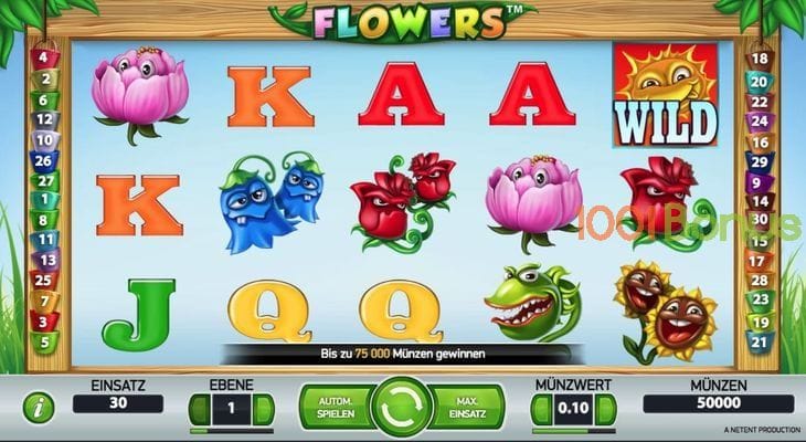 Rules of play for the slot machine Flowers