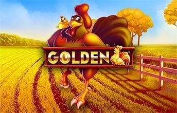 Golden - Finn's Golden Tavern!