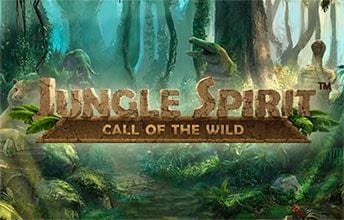 Jungle Spirit kolikkopeli