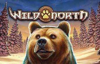 Wild North kolikkopeli