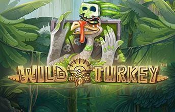 Wild Turkey casino offers