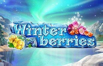 Winterberries Spelautomat