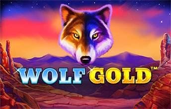 Wolf Gold casino offers